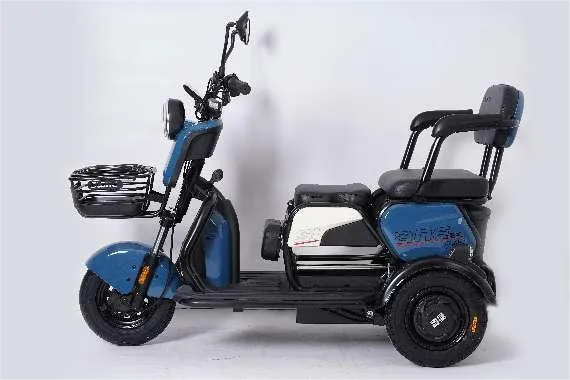 Ηλεκτρικό Trike για Ενήλικες